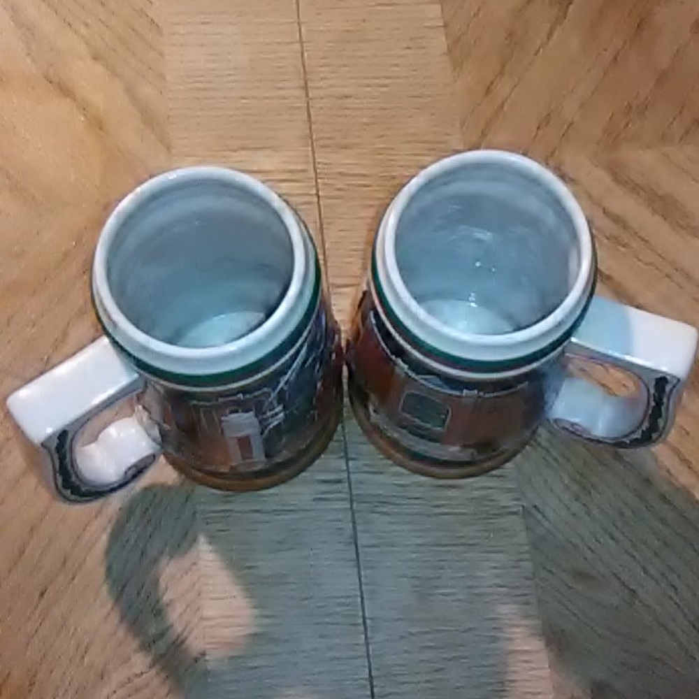 Steins - Picture 3 of 4